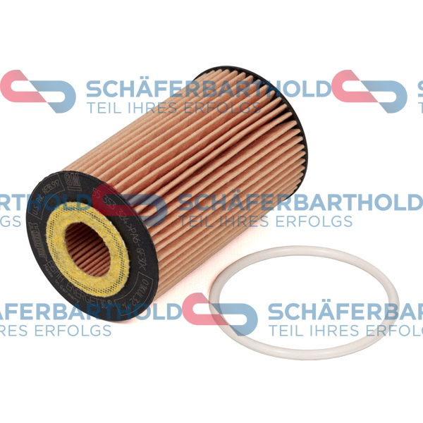 ORIGINAL Schäferbart Õlifilter 310 16 250 01 11