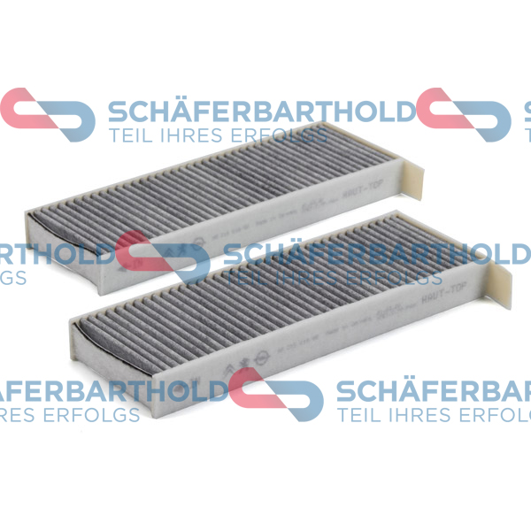 ORIGINAL Schäferbart Filter,salongiõhk 310 27 157 01 11