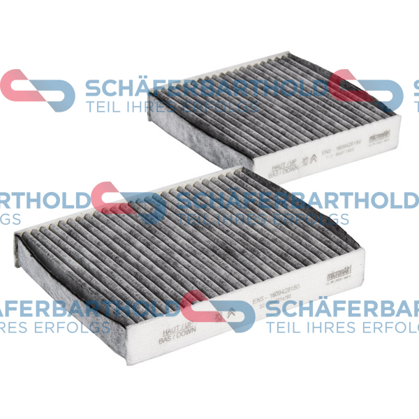 ORIGINAL Schäferbart Filter,salongiõhk 310 27 304 01 11