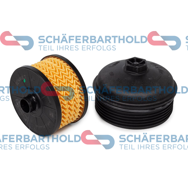 ORIGINAL Schäferbart Õlifilter 310 28 136 01 11