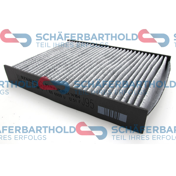 ORIGINAL Schäferbart Filter,salongiõhk 310 28 339 01 11