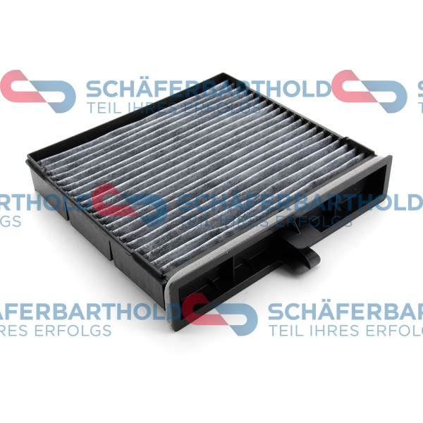 ORIGINAL Schäferbart Filter,salongiõhk 310 28 348 01 11