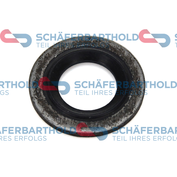 ORIGINAL Schäferbart Rõngastihend,jahutusvedeliku torustik 313 16 041 01 11