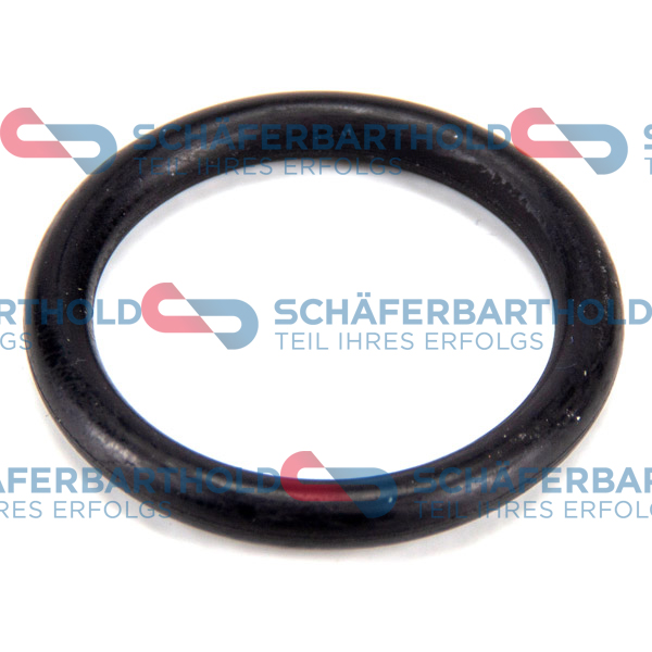 ORIGINAL Schäferbart Packning, oljefilterhus 313 16 976 01 11