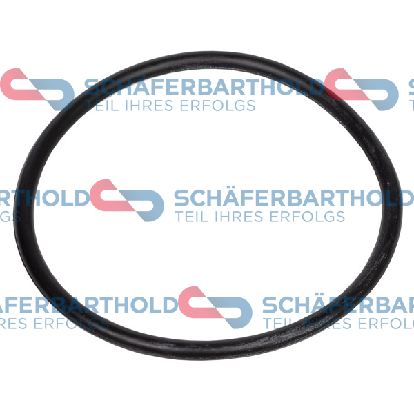ORIGINAL Schäferbart Tiivisterengas, hydrauliikkasuodatin 313 18 103 01 11