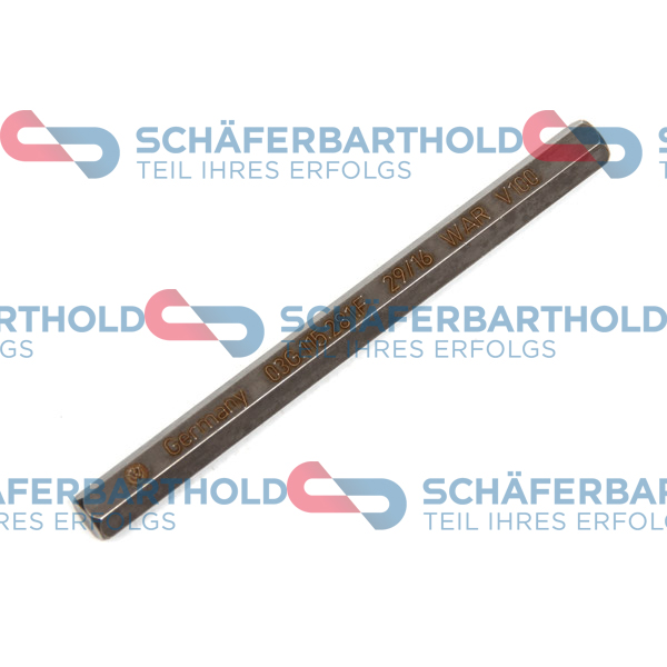 ORIGINAL Schäferbart kardaninis velenas, alyvos siurblys 313 18 596 01 11