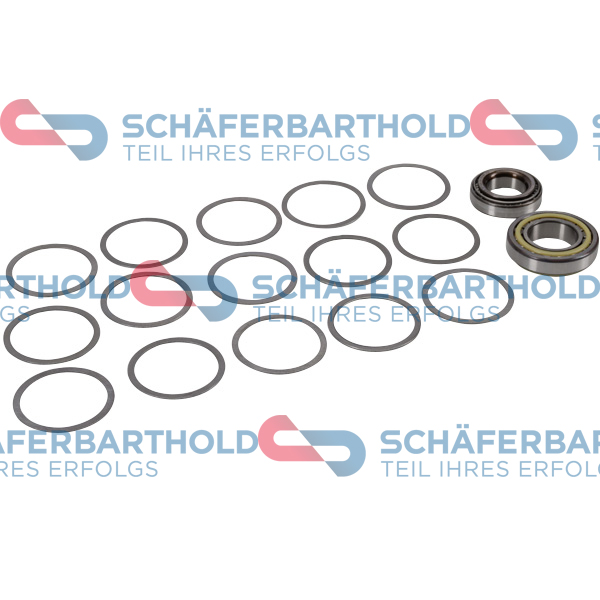 ORIGINAL Schäferbart Remondikomplekt, käigukast 313 27 066 01 11