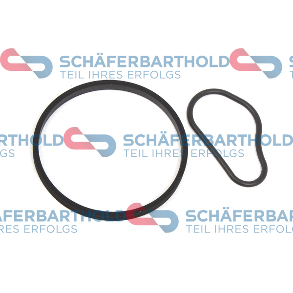 ORIGINAL Schäferbart Tihendikomplekt, vaakumpump 313 27 300 01 11