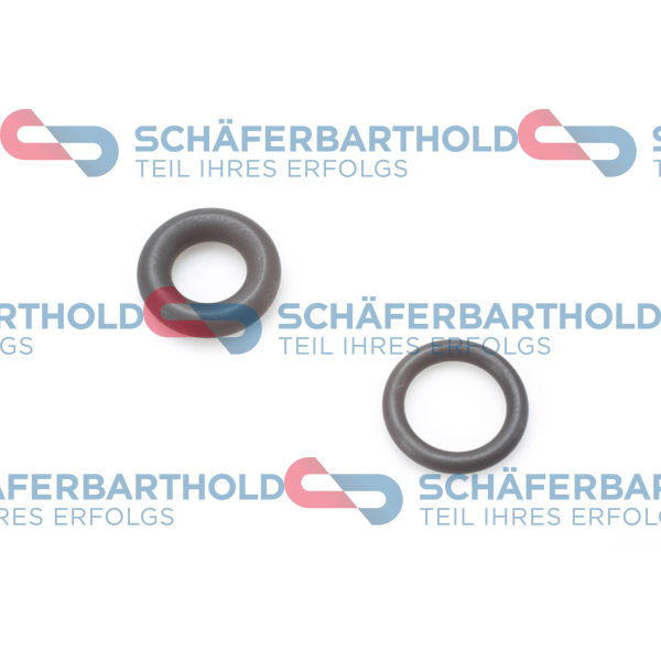 ORIGINAL Schäferbart Tihendikomplekt, pihustiots 313 27 588 01 11