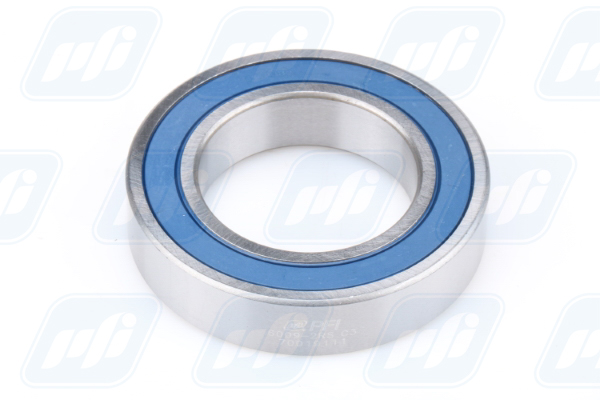 PFI Laager 6009-2RS C3