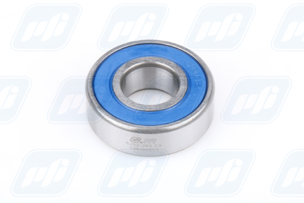 PFI Lager 6202-2RS C3