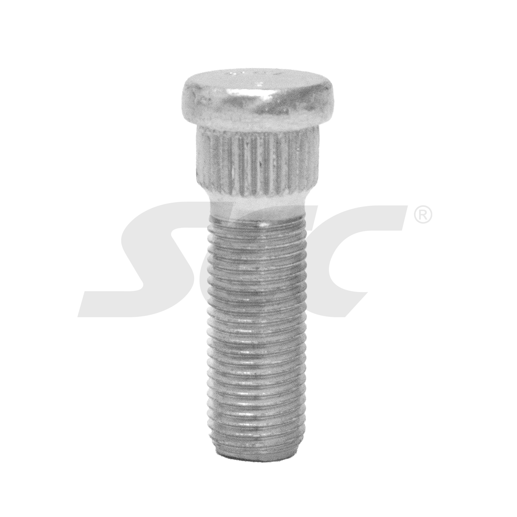 SCC Fahrzeugtechnik Rattapoldid M1225RE402