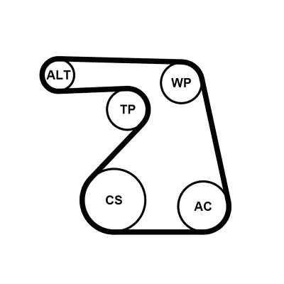 CONTINENTAL CTAM Pompa wodna + zestaw paska klinowego wielorowkowego 6PK1217WP1
