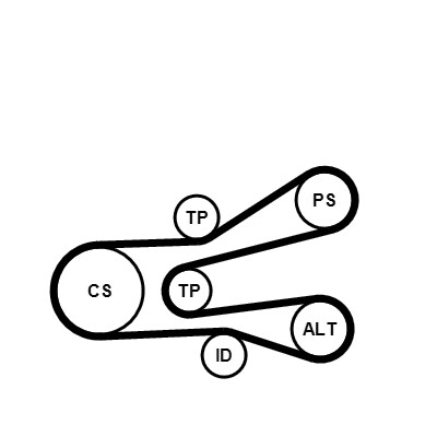 CONTINENTAL CTAM Soonrihmakomplekt 6PK1440K1