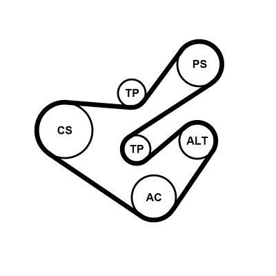 CONTINENTAL CTAM Soonrihmakomplekt 6PK1733K5