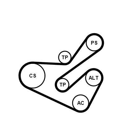 CONTINENTAL CTAM Soonrihmakomplekt 6PK1740K1