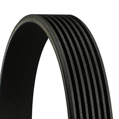 CONTINENTAL CTAM Moniurahihna 7PK1051 ELAST