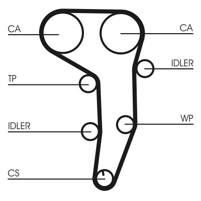 CONTINENTAL CTAM Vesipumppu + jakohihnasarja CT1051WP3