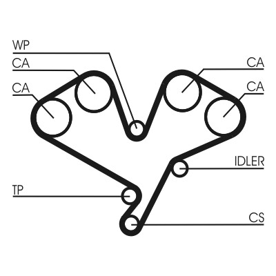 CONTINENTAL CTAM Kuggrem CT822