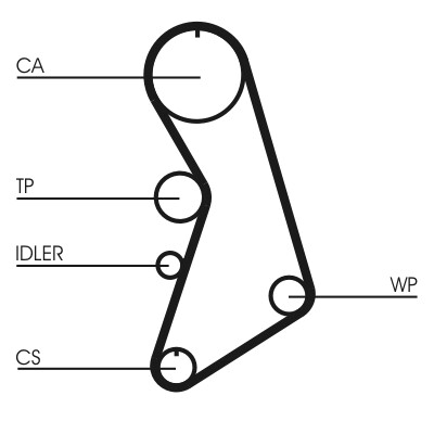CONTINENTAL CTAM Vesipumppu + jakohihnasarja CT909WP2