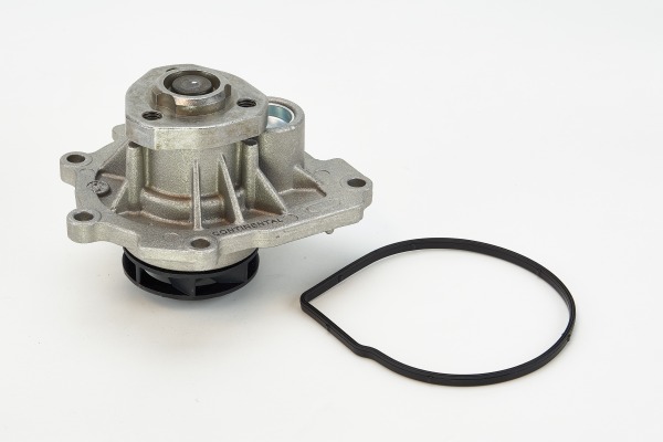 CONTINENTAL CTAM Pompa wody, chłodzenie silnika WP6071