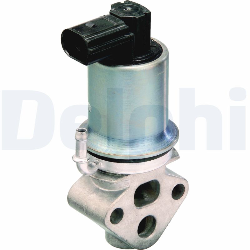 DELPHI ERG vožtuvas EG10290-12B1