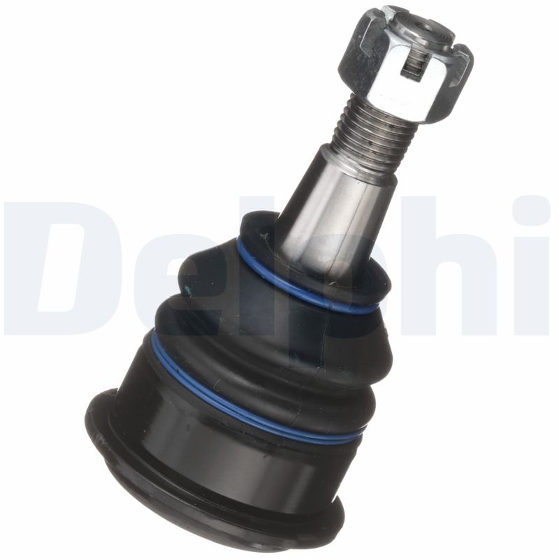 DELPHI Šarniir TC6828