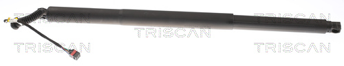 TRISCAN Kaasujousi, tavaratila 8710 29308