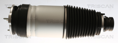 TRISCAN Õhkvedru,vedrustus 8720 81101