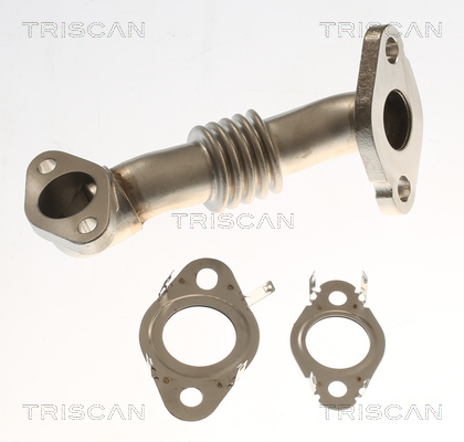TRISCAN vamzdis, EGR vožtuvas 8811 29000