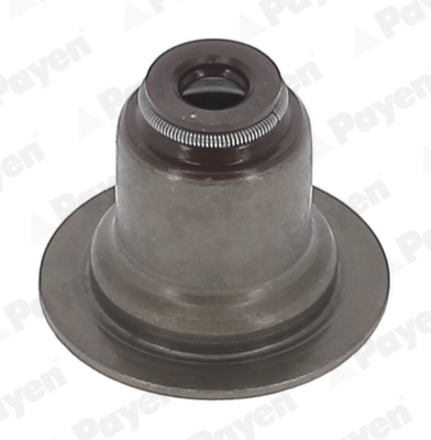 PAYEN Ventiltätning PA6117