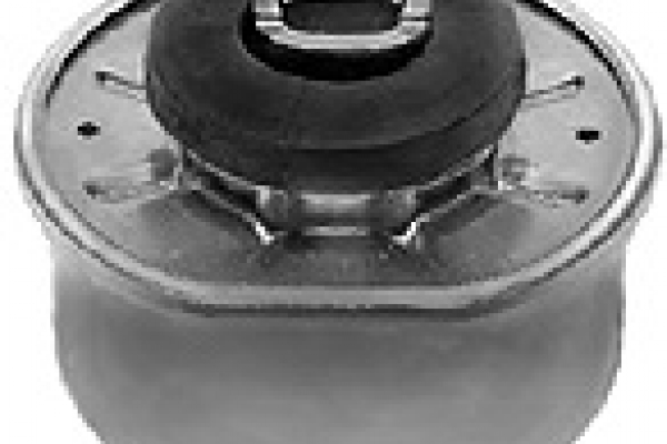 MAPCO variklio montavimas 36930