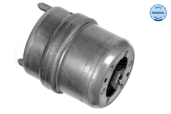 MEYLE variklio montavimas 100 199 0074