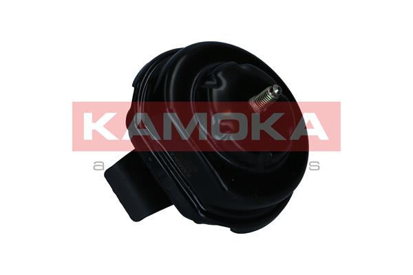 KAMOKA variklio montavimas 890757