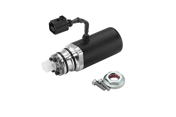BorgWarner Pompa, sprzęgło lamelowe napędu na wszystkie koła DS118589