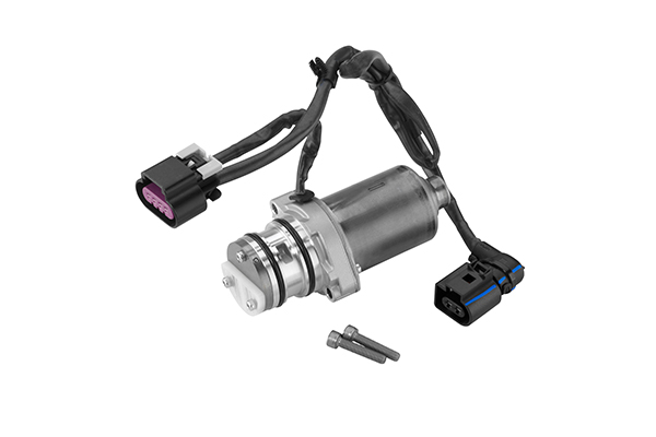 BorgWarner Pompa, sprzęgło lamelowe napędu na wszystkie koła DS2004444
