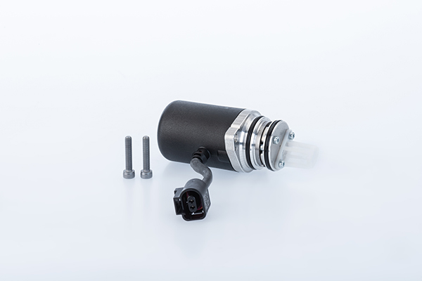 BorgWarner Pump, lamellsidur (neljarattavedu) DS2010679