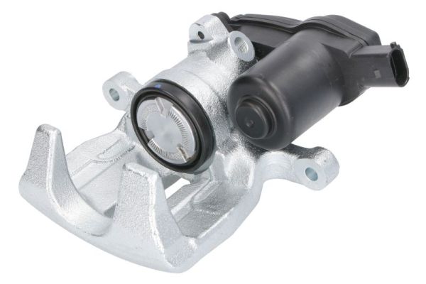 ABE Jarrusatula CZH2293