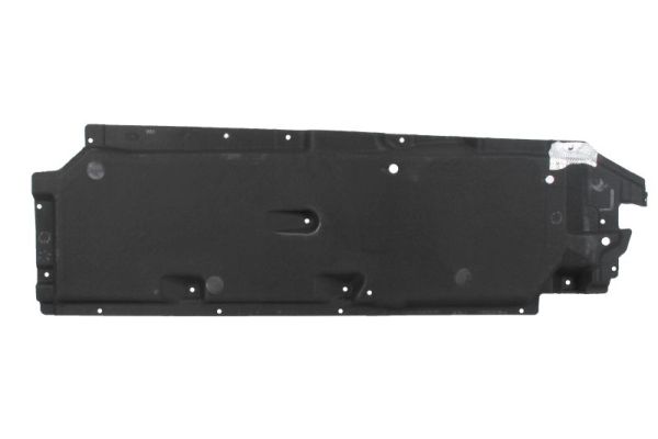 BLIC variklio dangtis 6601-02-0041981P