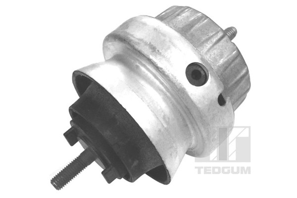 TEDGUM Moottorin tuki 00056444