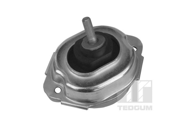 TEDGUM Mootoripadi 00088547
