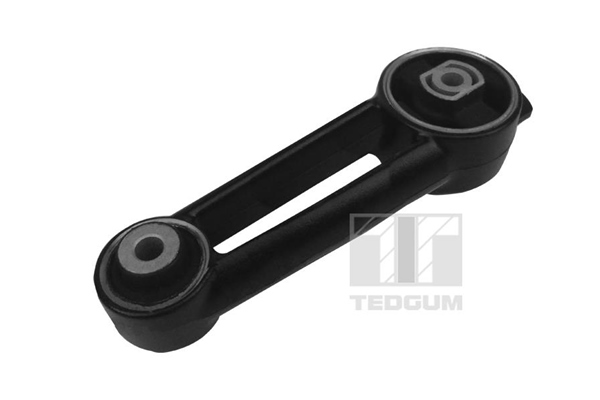 TEDGUM variklio montavimas 00728716