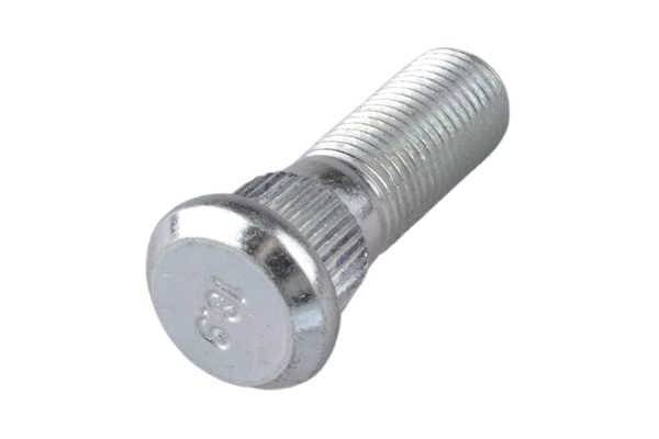 TEDGUM Rattapoldid TED37715