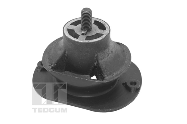 TEDGUM Mootoripadi TED40521