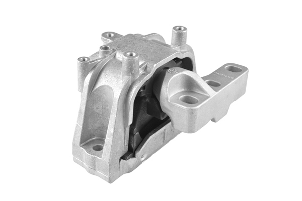TEDGUM variklio montavimas TED82685