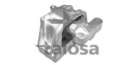 TALOSA variklio montavimas 61-05276