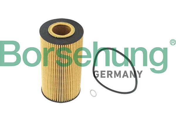 Borsehung Öljynsuodatin B12220