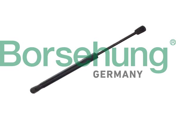 Borsehung Gaasivedru, mootorikapott B12474