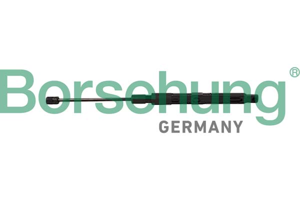 Borsehung Gaasivedru, mootorikapott B12484