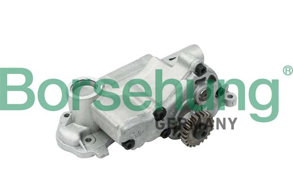 Borsehung alyvos siurblys B12698